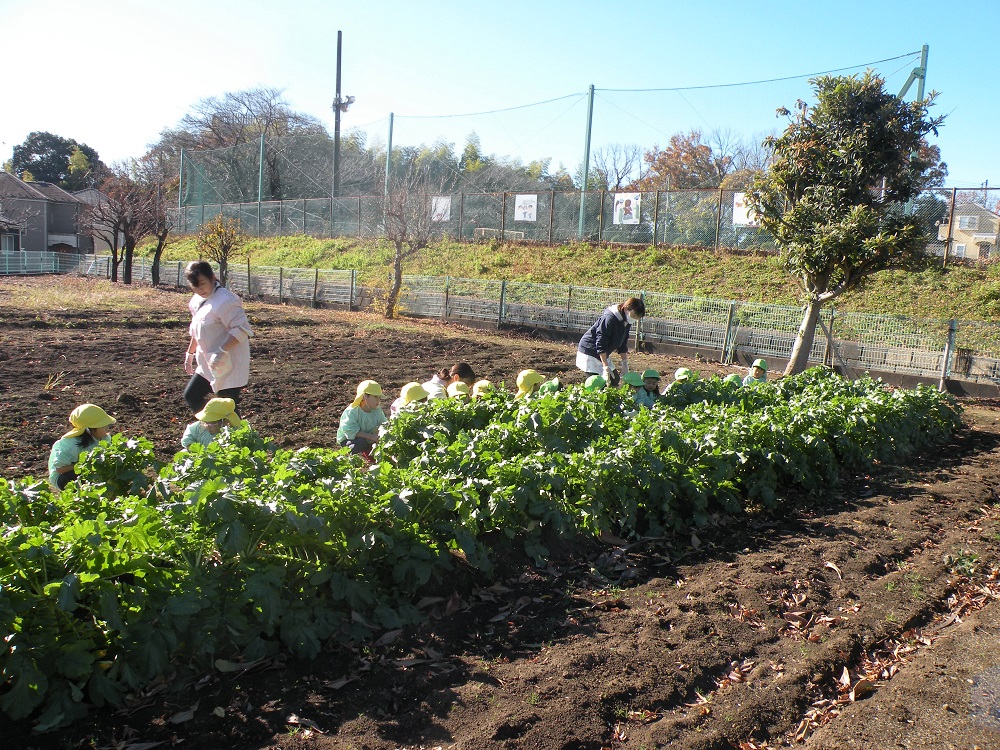 年少・ぱんだ組さん！葉っぱにみんな隠れてしまいました