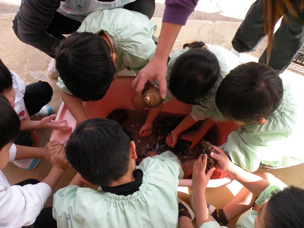 里芋を洗うの初めて～と言いながらひげも丁寧に取ってくれました